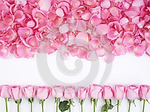 Flower frame made of pink roses