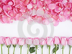 Flower frame made of pink roses