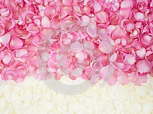 Flower frame made of rose petals