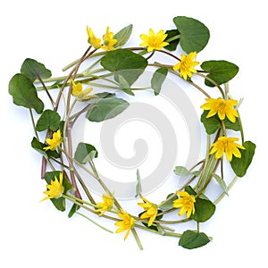 Flower frame on white background