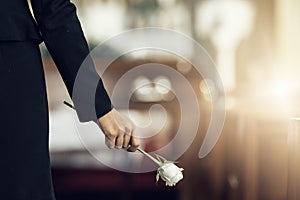 Flower, funeral and hand holding rose in mourning at death ceremony with grief for loss burial. Floral, church or photo