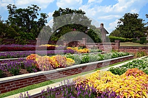 Flower Garden