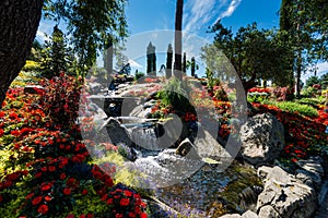 Flower garden photo