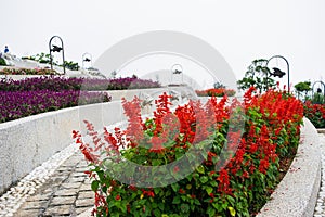 Flower garden at Ba Na Hills, Da Nang, Vietnam