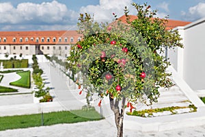 Garden in Castle. Bratislava, Slovakia.