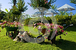 Flower garden with carts