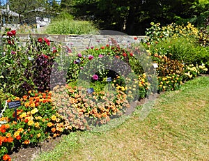 Flower garden at Cornell University Botanical Gardens photo