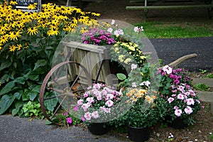 Flower Garden Display with Wheelbarrow