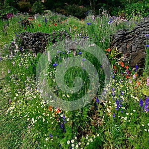 Flower garden at Doi Inthanon