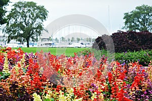 Flower Garden, Eichelman Park, Kenosha, Wisconsin