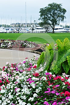 Flower Garden, Eichelman Park, Kenosha, Wisconsin