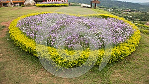 Ornamental flower garden of heart shape