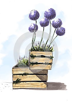 A flower garden for a landscape project. flowers on the flowerbed. onion in a box. succulents in a pot, by the road. flower gard