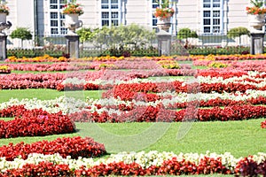 flower garden with many flower beds with lots of flowers in a pa photo