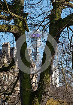 Formal flower gardens in Regent`s Park, London UK, photographed in springtime with iconic BT Tower in the background.