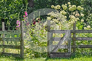 Flower Garden with Rustic Wooden Fence