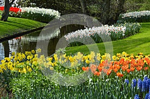 Flower garden in spring