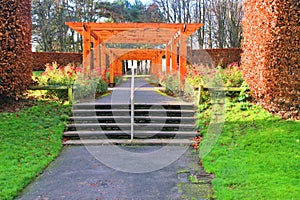 Flower Garden in st anns park dublin ireland photo