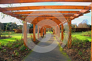 Flower Garden in st anns park dublin ireland photo