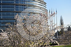 The flower gardens around the European Parliament in Strasbourg