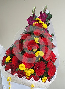 Flower Gift Beautifull Rose love