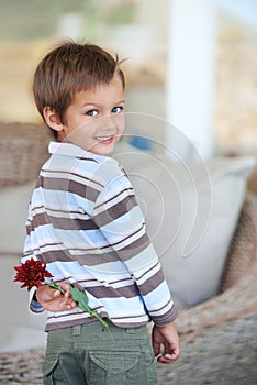 Flower, gift and portrait of a child with a present and giving for mothers day with a smile in a home. Happy