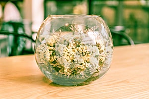 flower in glass decoration on table