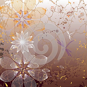 Flower on grange background