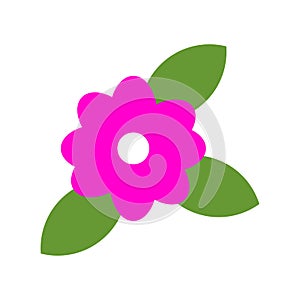 Flower graphic design. Vector hand drawn flowers.