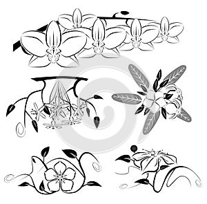 Flower graphic set