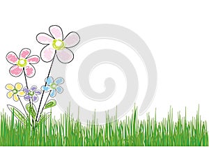 Flower in grass