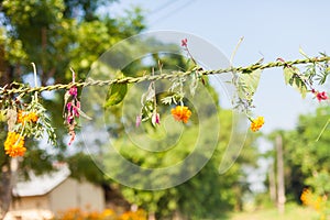 Flower and grass garlands for Tihar in Nepal