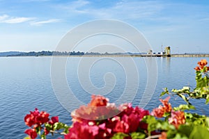 Flower and green mountain at Khun Dan Pra kan Chon Dam, Nakon Nayok, Thailand