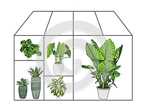 Flower greenhouse or greenhouse. Winter Garden. Gardening and truck farming concept