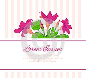 Flower greeting card template. Floral romantic design