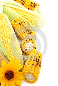 Flower,grilled corn and fresh cobs.