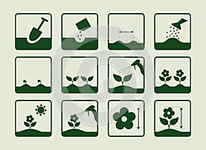 flower growing set of gardening icons, yearly timeline, plant labels for flower seed packet, green vector icon