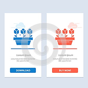 Flower, Growth, Plant, Spring  Blue and Red Download and Buy Now web Widget Card Template