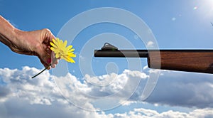 Flower and Gun