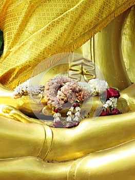 Flower in hand image of buddha