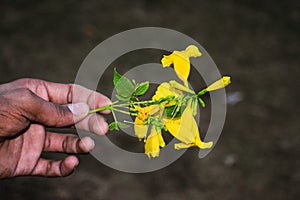 Flower in hand