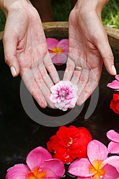 Flower Hand Reflection