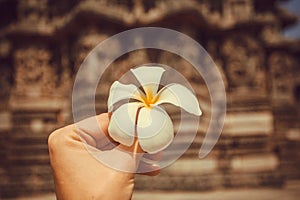 Flower in the hand of a tourist past an historical walls of old temple in India. Vacation mood