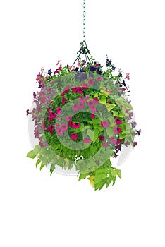 Flower hanging basket