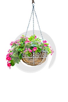 Flower hanging basket