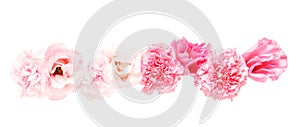 Flower head of eustoma and carnation