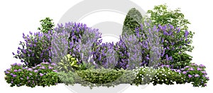 Cut out landscape design. Lilacs and flower bed photo