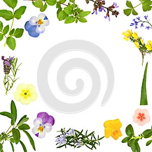 Flower and Herb Leaf Abstract