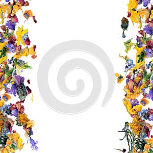 Flower and Herb Leaf Border