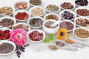 Flower and Herb Medicine